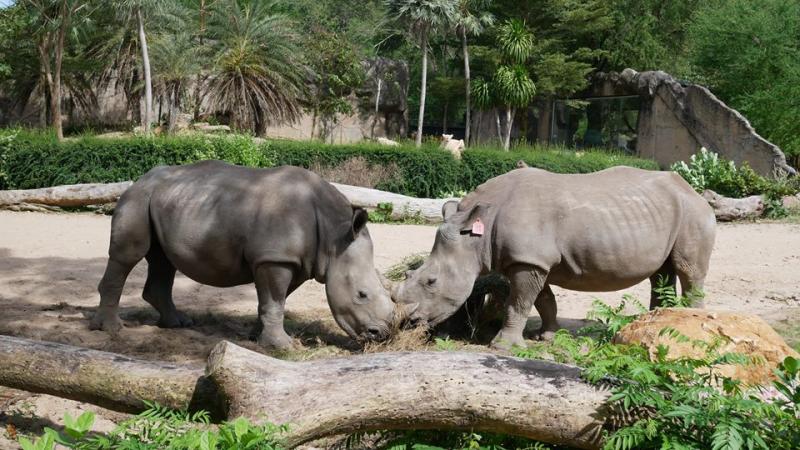 n20171127172227_4501